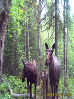 Avatar de l’utilisateur