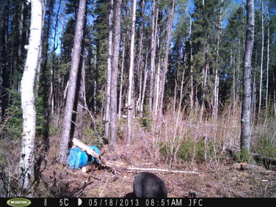 PICT0005.JPG (153.27 Kio) Consulté 931 fois PICT0005.JPG