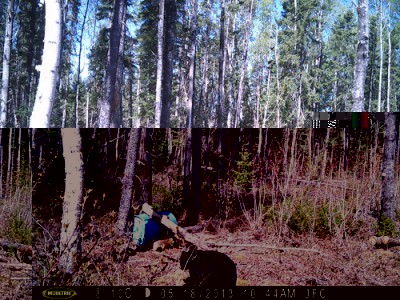 PICT0009.JPG (160.81 Kio) Consulté 927 fois PICT0009.JPG