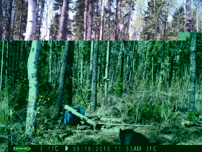 PICT0017.JPG (165.8 Kio) Consulté 927 fois PICT0017.JPG