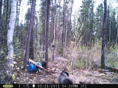 PICT0025.JPG (154.59 Kio) Consulté 927 fois PICT0025.JPG